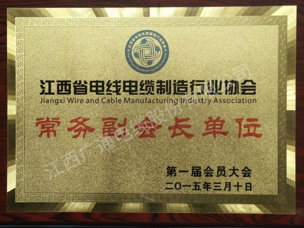 常務(wù)副會長單位